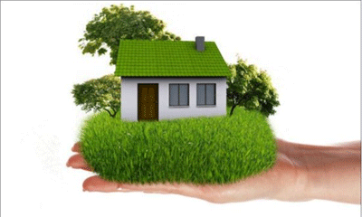 【家裝寶典】如何高效清除甲醛？最有效的反而最便宜？