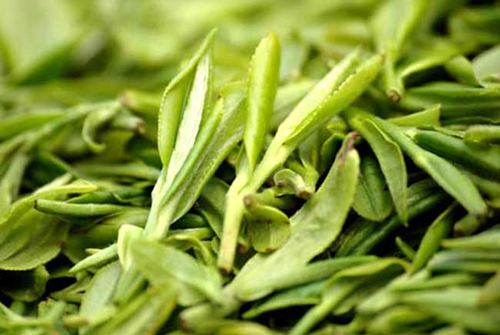 龍井茶產(chǎn)地在哪 龍井茶功效與作用